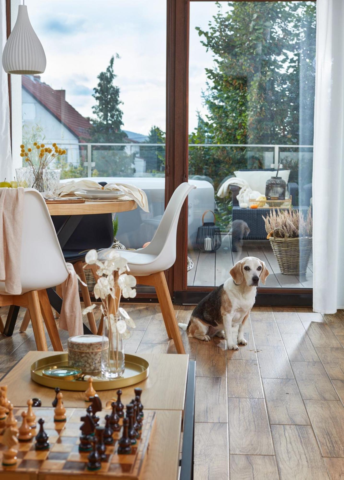 Apartament Oh Deer! Jelenia Góra Zewnętrze zdjęcie
